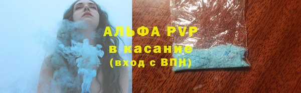 стаф Новокубанск
