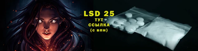 jwh Новозыбков