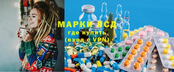 стаф Новокубанск