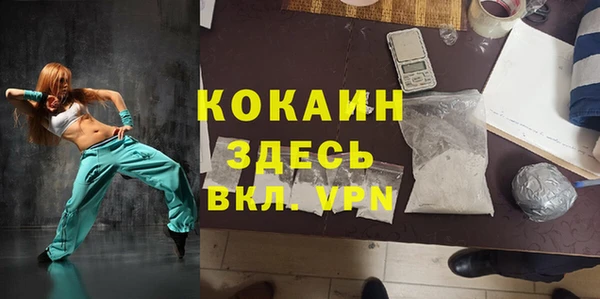 стаф Новокубанск