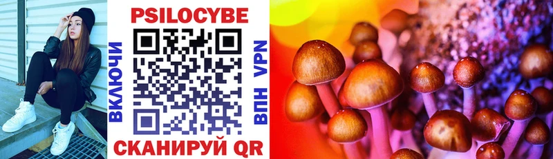 OMG сайт  Пудож  Псилоцибиновые грибы Magic Shrooms 